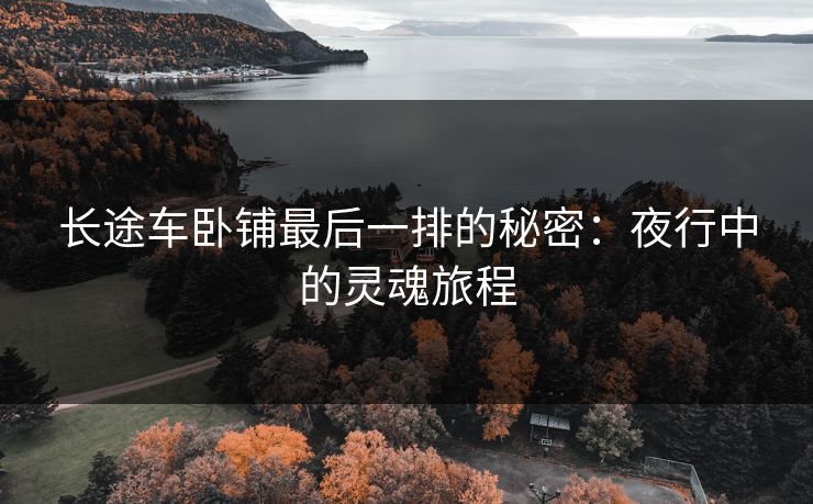 长途车卧铺最后一排的秘密：夜行中的灵魂旅程