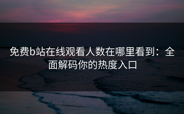 免费b站在线观看人数在哪里看到：全面解码你的热度入口