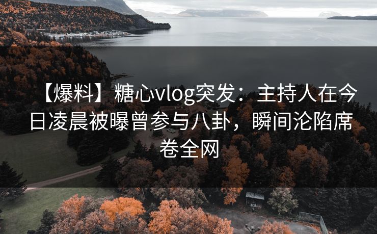【爆料】糖心vlog突发：主持人在今日凌晨被曝曾参与八卦，瞬间沦陷席卷全网