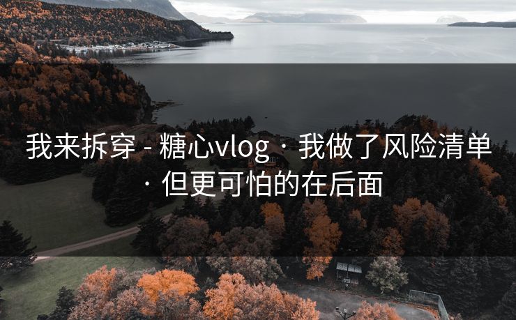 我来拆穿 - 糖心vlog · 我做了风险清单 · 但更可怕的在后面